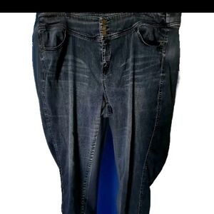 Lane Bryant Jeans Women Blue W52X27L Grunge Y2k Cottagecor Boho Trucker Normcore